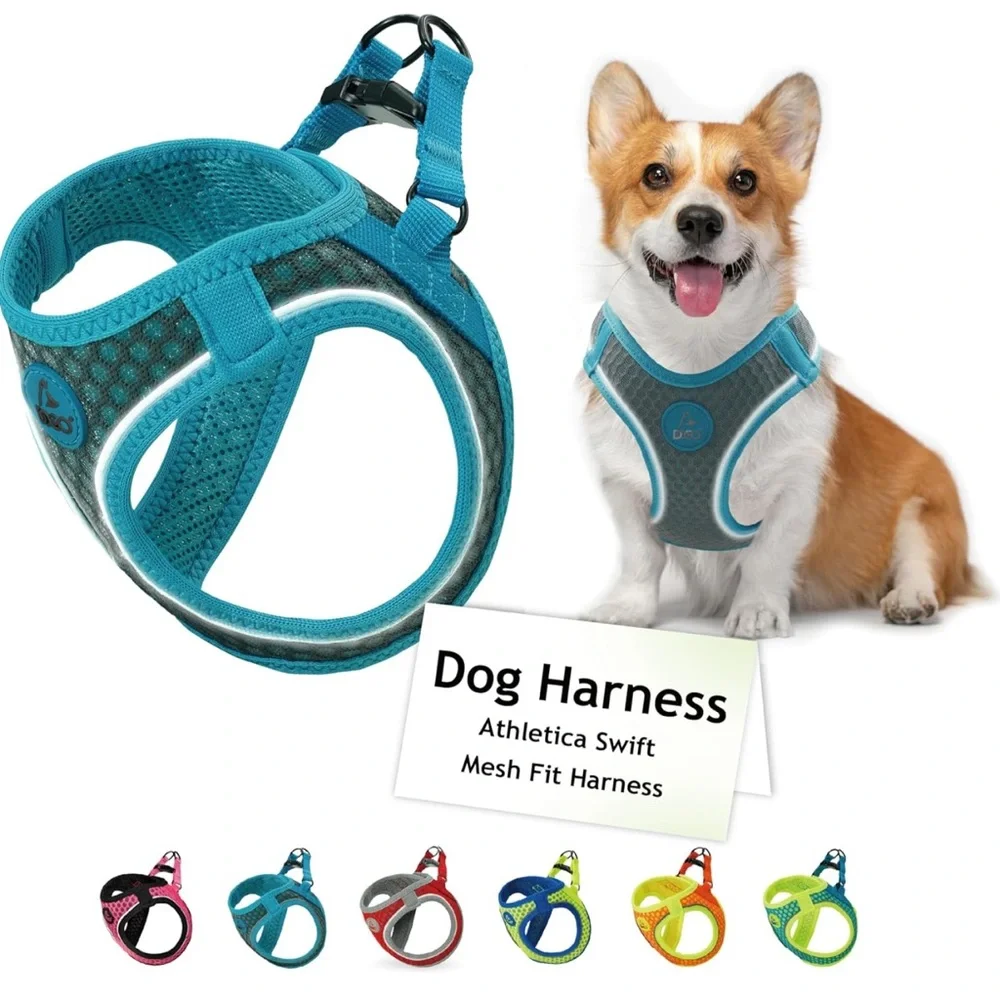 DOCO Reflective Active Quick-Fit Turquoise SMALL Dog Harness